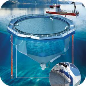 Biobrane Aqua 1205 - фото - 3